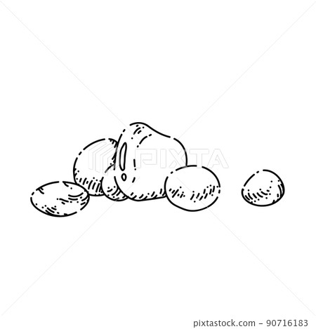 pebble sketch hand drawn vector 90716183