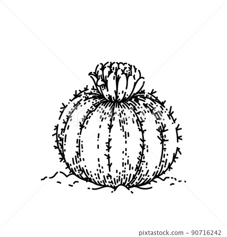 cactus flower sketch hand drawn vector 90716242