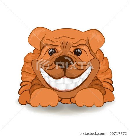 vector image of a friendly dog. vector image of a friendly dog. 90717772