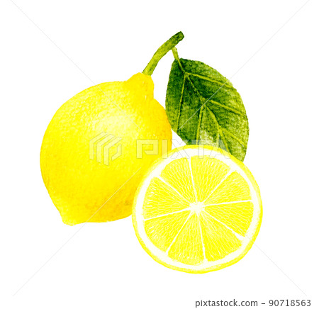 Illustration of lemon fruit cut in half Hand-painted watercolor illustration material of fruit 90718563