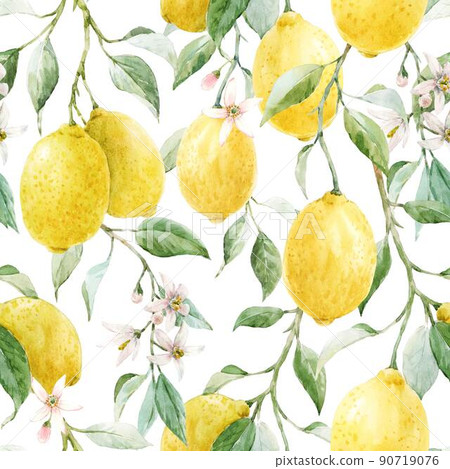 Beautiful seamless pattern with hand drawn watercolor yellow lemons and flowers. Stock illustration. Beautiful seamless pattern with hand drawn watercolor yellow lemons and flowers. Stock illustration. 90719076