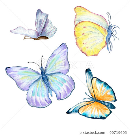 Set of glassland butterflies watercolor on white background Set of glassland butterflies watercolor on white background 90719603