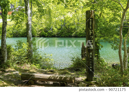 Dokko Marsh in early summer, fresh green scenery, Yamagata City, Yamagata Prefecture Dokko Marsh in early summer, fresh green scenery, Yamagata City, Yamagata Prefecture 90721175