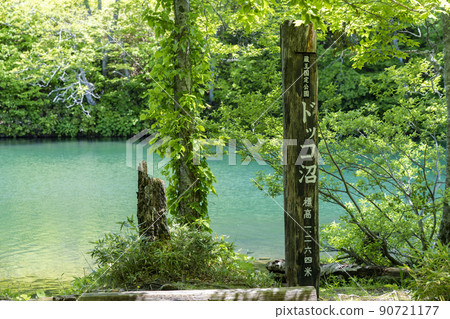 Dokko Marsh in early summer, fresh green scenery, Yamagata City, Yamagata Prefecture Dokko Marsh in early summer, fresh green scenery, Yamagata City, Yamagata Prefecture 90721177