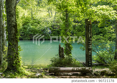 Dokko Marsh in early summer, fresh green scenery, Yamagata City, Yamagata Prefecture Dokko Marsh in early summer, fresh green scenery, Yamagata City, Yamagata Prefecture 90721178