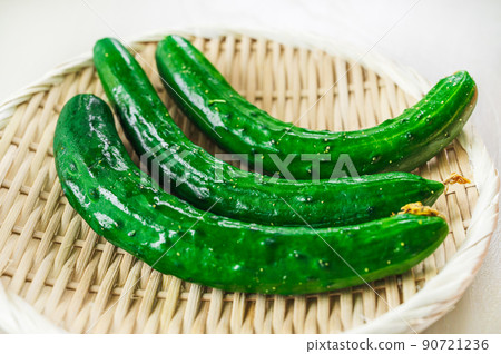 Freshly picked cucumber Freshly picked cucumber 90721236