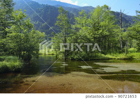 Kamikochi Fresh green Tashiroike Nagano Prefecture Kamikochi Fresh green Tashiroike Nagano Prefecture 90721653