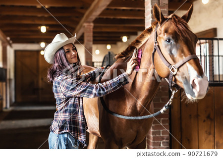 Pretty cowgirl combs her brown paint horse, smiling, standing inside the stable Pretty cowgirl combs her brown paint horse, smiling, standing inside the stable 90721679