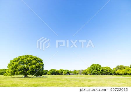 Landscape with green and blue sky 90722015