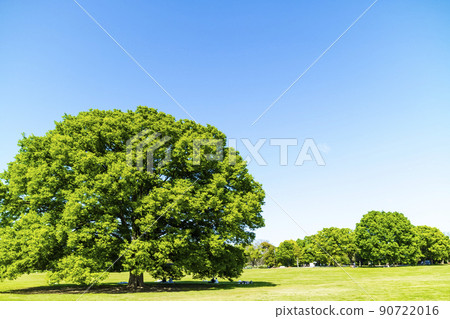 Landscape with green and blue sky Landscape with green and blue sky 90722016