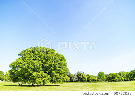 與綠色和藍天的風景 90722022