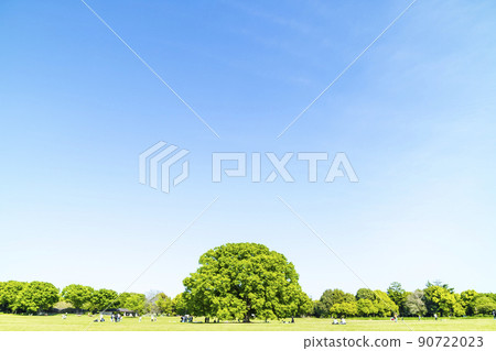 與綠色和藍天的風景 90722023