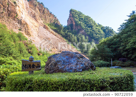 豆豆的分裂門 90722059