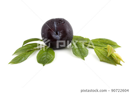 Black plum and leaves 90722604