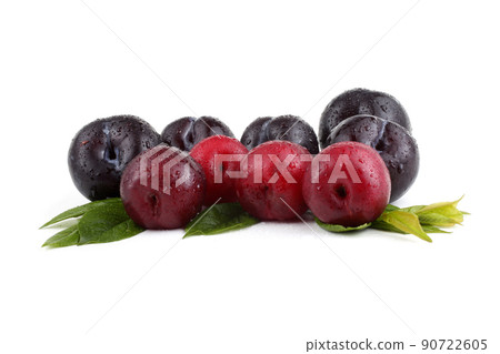 Plums and leaves Plums and leaves 90722605