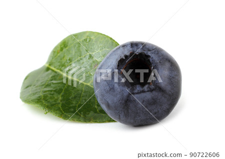 Blueberry and leaf Blueberry and leaf 90722606