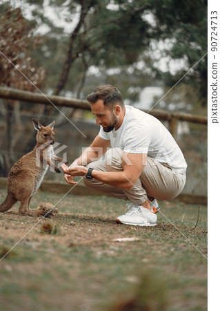 man at the reserve in Australia playing and feeding kangaroos man at the reserve in Australia playing and feeding kangaroos 90724713