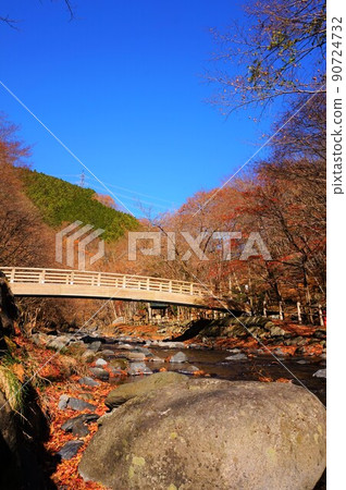 玄田橋小中川紅葉 玄田橋小中川紅葉 90724732