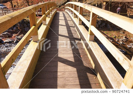 Gentabashi Konakagawa Autumn Leaves 90724741