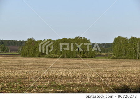 Agricultural field and forest against the sky Agricultural field and forest against the sky 90726278