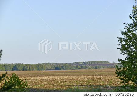 Agricultural field and forest against the sky Agricultural field and forest against the sky 90726280