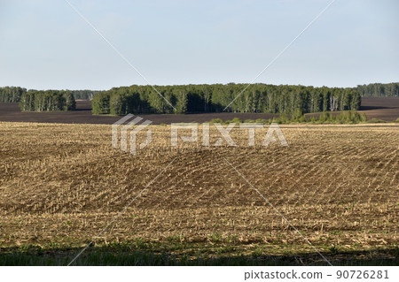 Agricultural field and forest against the sky Agricultural field and forest against the sky 90726281