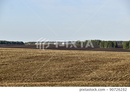 Agricultural field and forest against the sky Agricultural field and forest against the sky 90726282