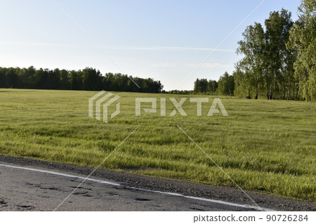 Agricultural field and forest against the sky 90726284