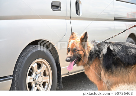 Camper Life German Shepherd 90726468