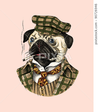 Pug Dog dog smokes a cigar in a tweed suit. Fashion Animal character in clothes. Hand drawn sketch Pug Dog dog smokes a cigar in a tweed suit. Fashion Animal character in clothes. Hand drawn sketch 90726946