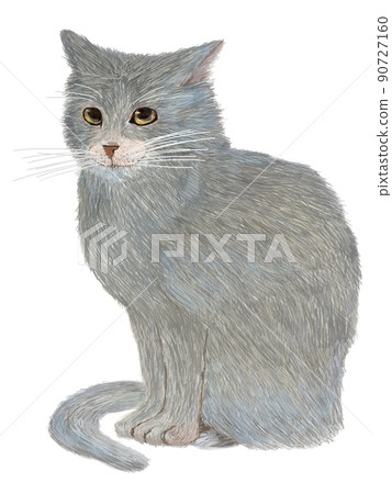 Gray cat landscape_vertical 90727160