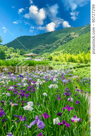 Fresh green Satoyama 90727299