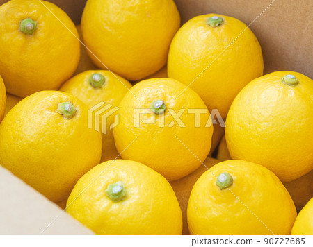 Domestic lemon backorder Domestic lemon backorder 90727685