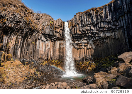 Scenic Svartifoss waterfall amidst basalt columns in national park against sky 90729519