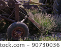 Special equipment for the mass harvesting of lavender in an essential oil plant 90730036