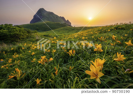 夕陽染紅的小野龜飛島甘草 90730190