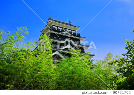 [Hiroshima Prefecture] Fukuyama Castle after reconstruction (iron plate on the north side of the castle tower) 90731703