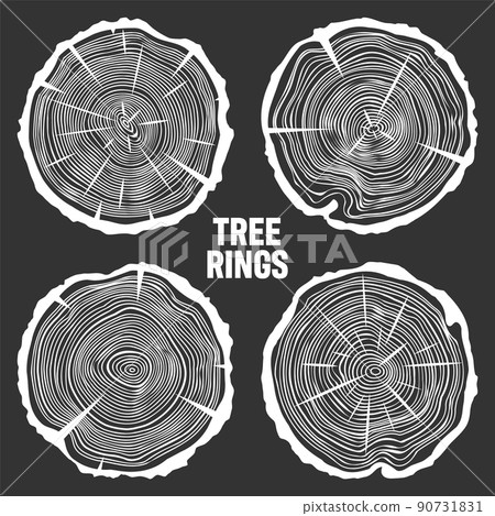 White round tree trunk cuts with cracks, sawn pine or oak slices, lumber. Saw cut timber, wood. Wooden texture with tree rings. Hand drawn sketch. Vector illustration White round tree trunk cuts with cracks, sawn pine or oak slices, lumber. Saw cut timber, wood. Wooden texture with tree rings. Hand drawn sketch. Vector illustration 90731831