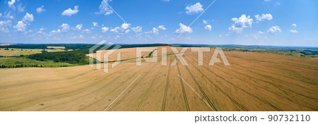 Aerial landscape view of yellow cultivated agricultural field with ripe wheat on bright summer day 90732110