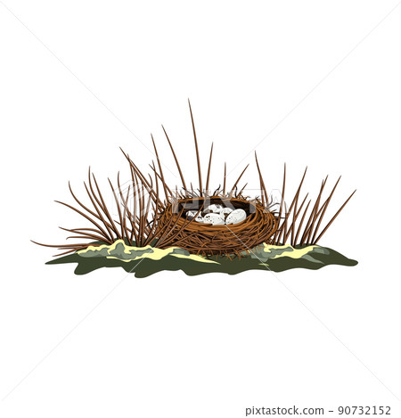 tree, egg, bird 90732152