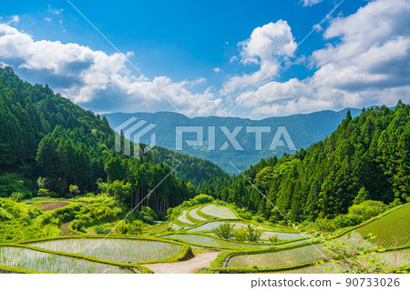 [Tokushima] Kashihara Rice Terraces [Kamikatsu Town] 90733026