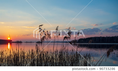 Peaceful sunset on shore of large lake in pink tones. Sun, clouds, forest on horizon, soft colors Peaceful sunset on shore of large lake in pink tones. Sun, clouds, forest on horizon, soft colors 90733286