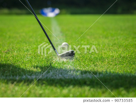 Playing golf. Golf course. Golf ball and club. 90733585