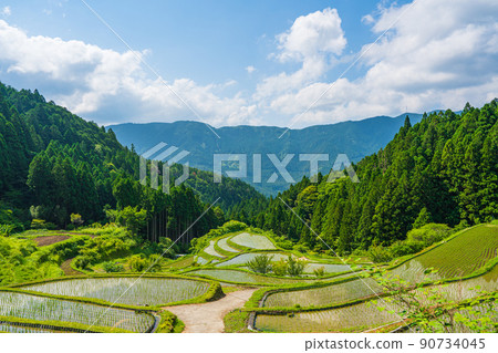 [Tokushima] Kashihara Rice Terraces [Kamikatsu Town] 90734045