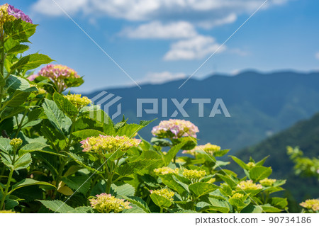 [Tokushima] Landscape of Kamikatsu Town 90734186