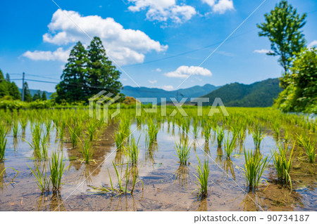 [Tokushima] Landscape of Kamikatsu Town 90734187