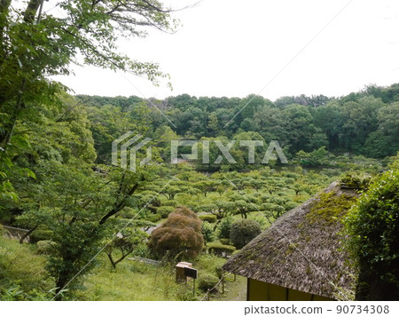 View of Yakushiike Park 90734308