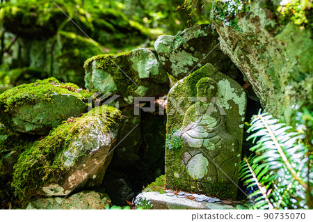 [Famous place for moss] Yamainudake [Kamikatsu Town] 90735070