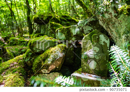 [Famous place for moss] Yamainudake [Kamikatsu Town] 90735071