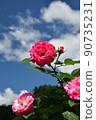 紅粉色玫瑰天空背景單輪垂直版本。 90735231